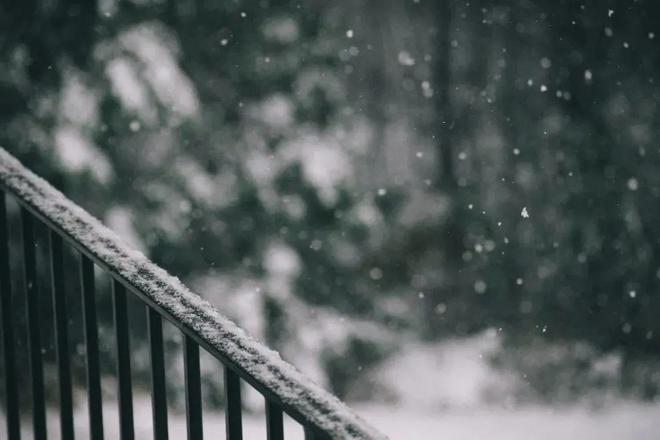 摄影技巧：又密又多的雪花是怎么拍出来的？拍照参赢赢博体育官网入口博体育app数怎么设置？(图4)