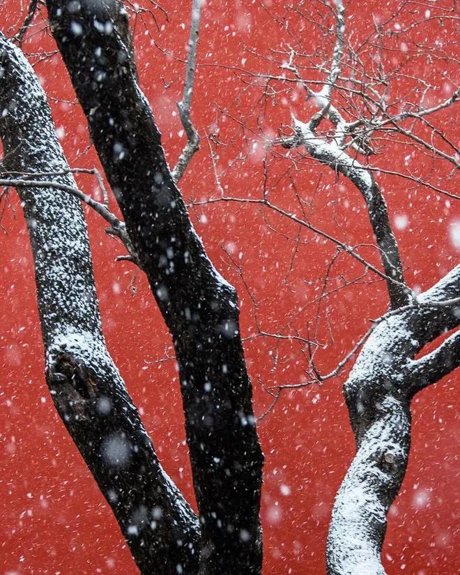 摄影技巧：又密又多的雪花是怎么拍出来的？拍照参赢赢博体育官网入口博体育app数怎么设置？(图2)