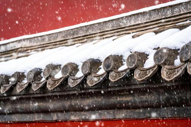 摄影技巧：又密又多的雪花是怎么拍出来的？拍照参赢赢博体育官网入口博体育app数怎么设置？(图5)