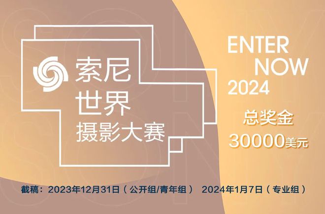 即将截稿总奖金30000美元2024年索尼赢博体育官网入口世界摄影大赛赢博体育app(图2)