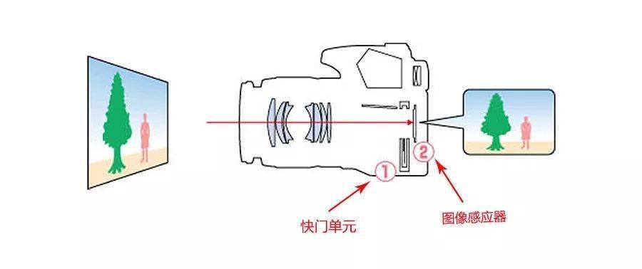 赢博体育app：赢博体育：摄影｜ 摄影基础知识（三）(图18)